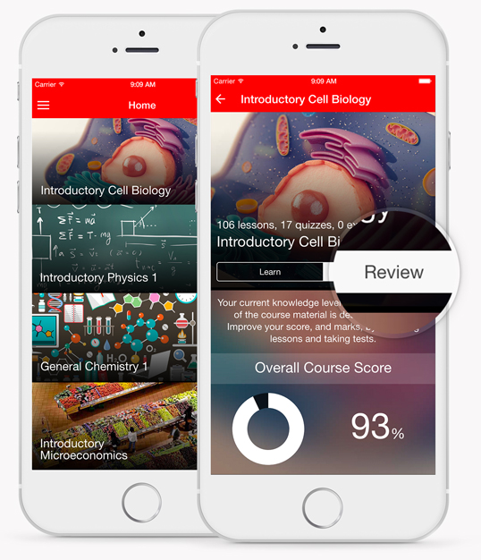 Course List and Course Review Convenient Section Double Mobile View Course List and Course Review