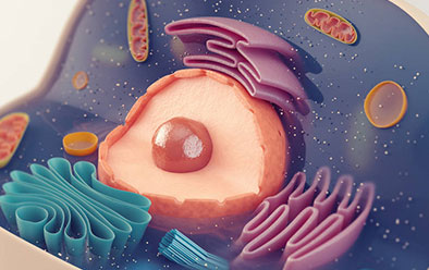 Biology