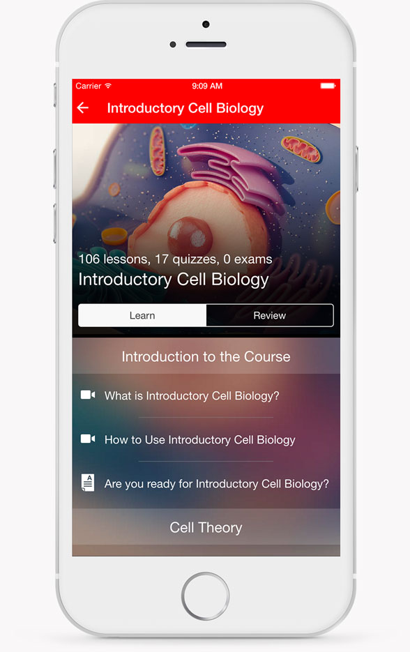 Introductory Cell Biology Learn Interface Introductory Cell Biology Learn Interface