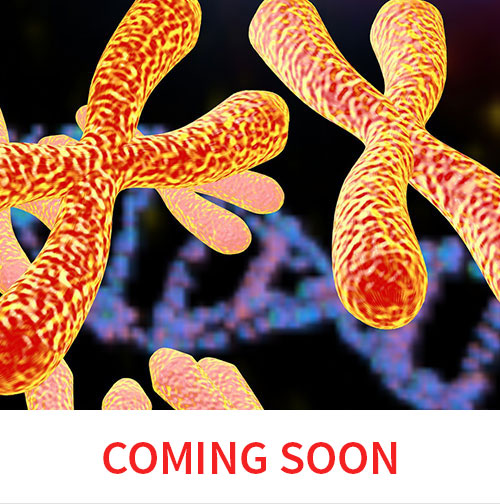 Genetics Course Cover Image