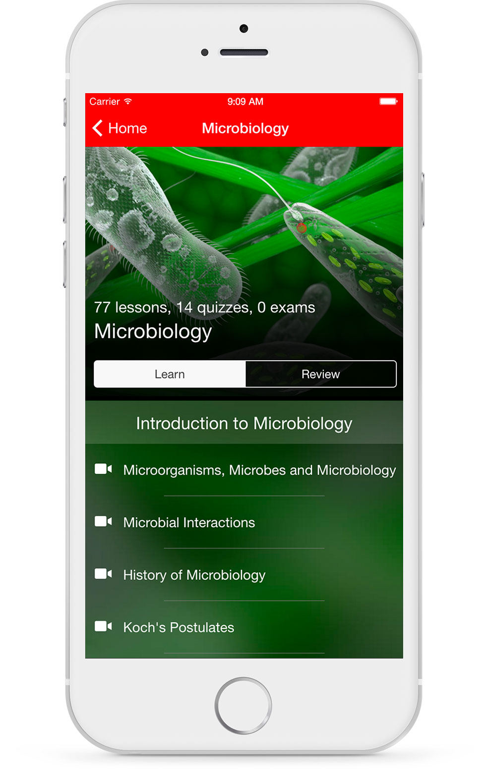 Intro Cell Biology Learn Interface Intro Cell Biology Learn Interface