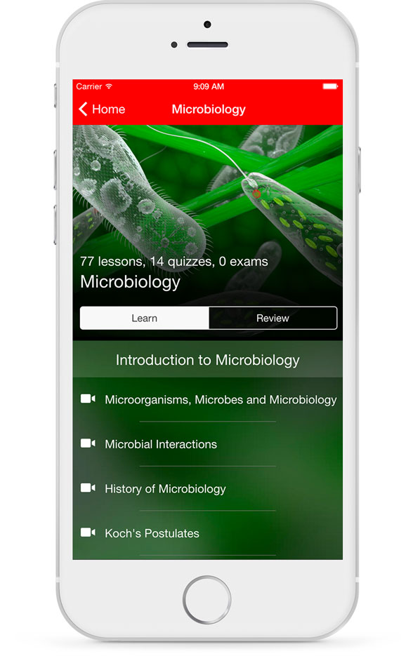 Intro Cell Biology Learn Interface Intro Cell Biology Learn Interface
