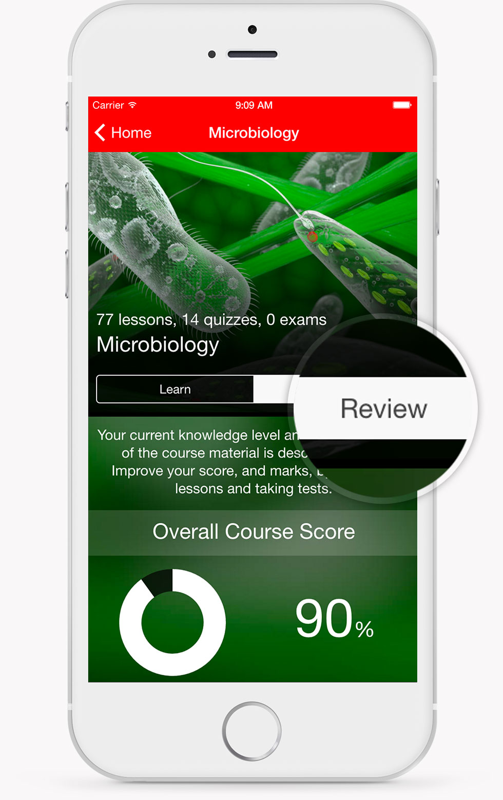Intro Cell Biology Review Interface Intro Cell Biology Review Interface
