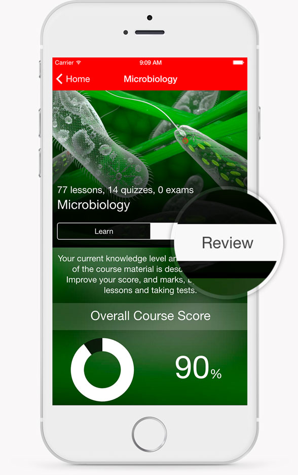 Intro Cell Biology Review Interface Intro Cell Biology Review Interface