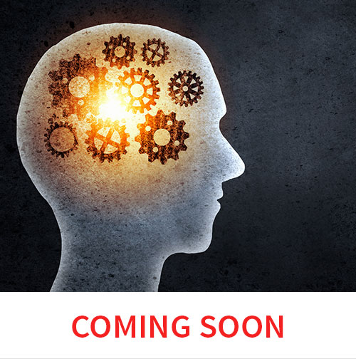 Critical Thinking