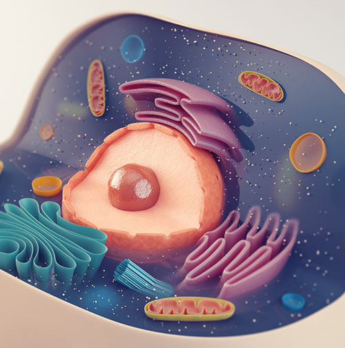 Introductory Cell Biology