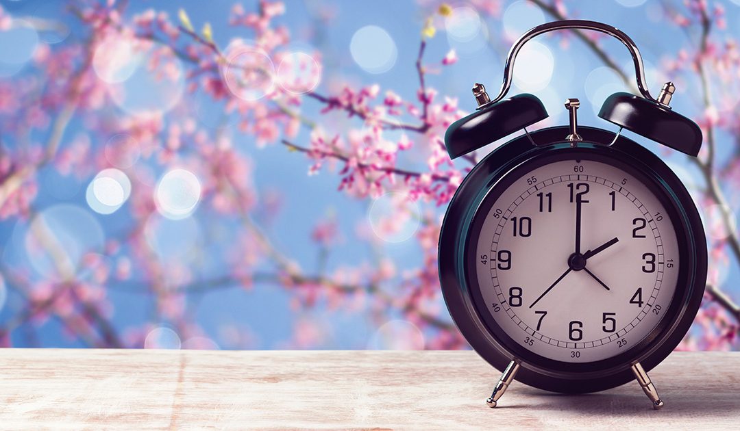 Daylight Savings: Adapt and React