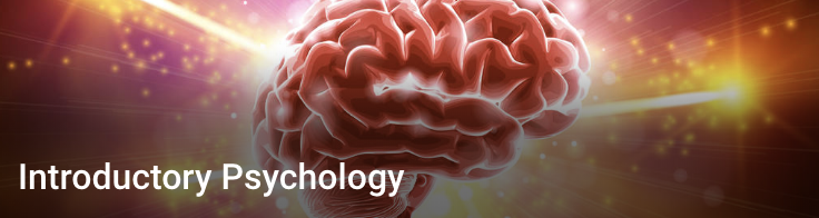 Introductory Psychology Introductory Psychology