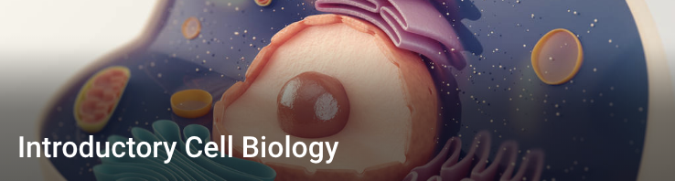 Introductory Cell Biology Introductory Cell Biology