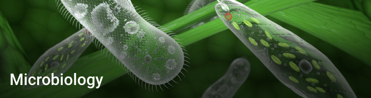 Microbiology Microbiology